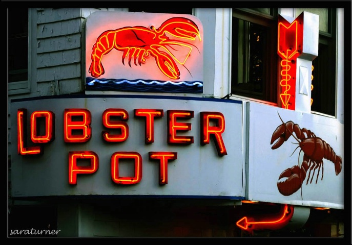 lobster pot
