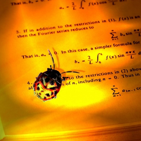 Bug's Eye View of Fourier Series, v3c