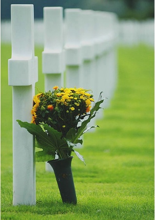 American Cemetry (Holland in Europe)