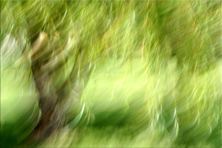 Green in Motion