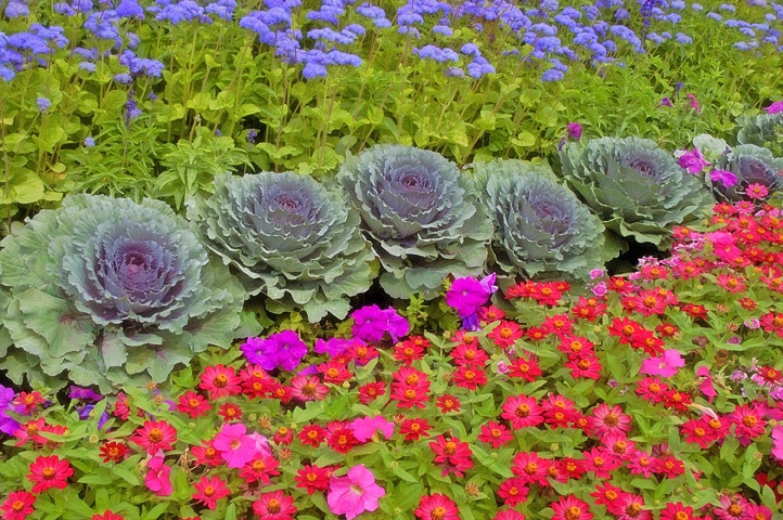 A Botanical Arrangement