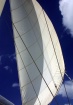 Black Angel Sail,...