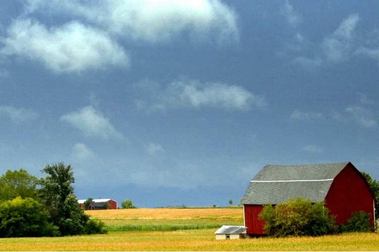 Approaching Storm