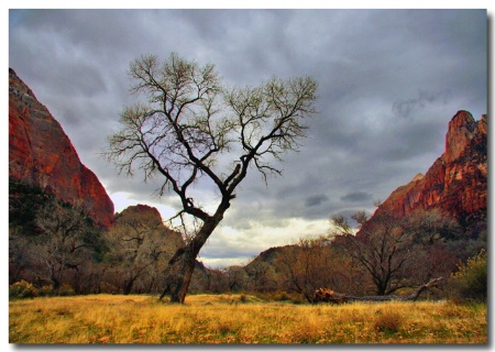 Colors in Zion National Park Utah