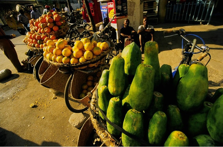 Fruit Bikes in Dar