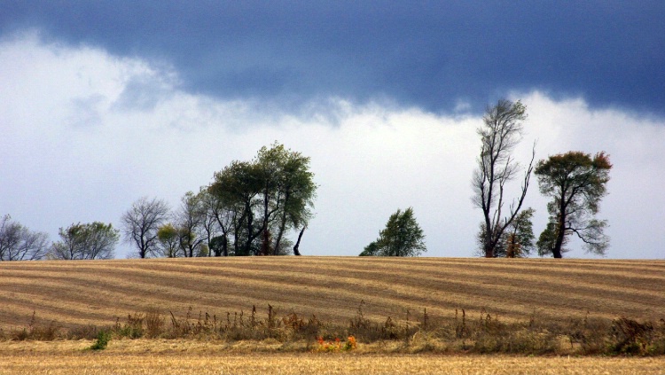 Stormy Farm Field