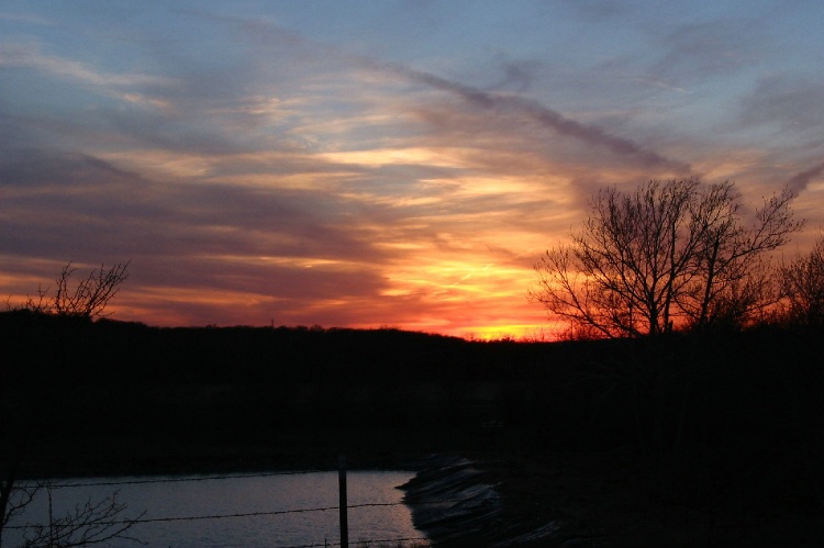 Sunset Silhouette