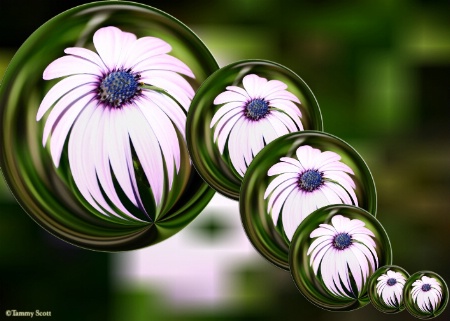 Lavendar Flower Balls