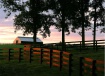 Sunset Highlights