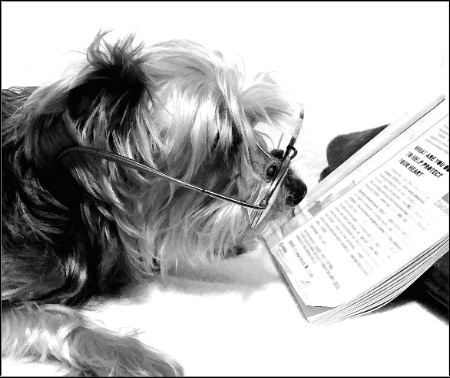 Can your dog read?