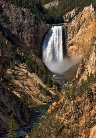 Grand Canyon of Yellowstone