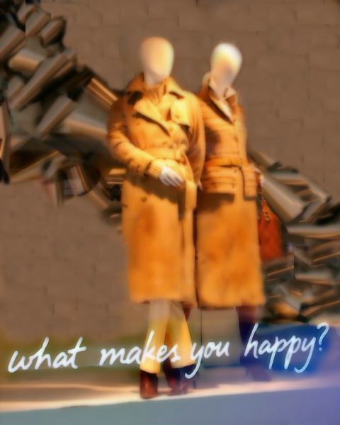 What Makes You Happy?