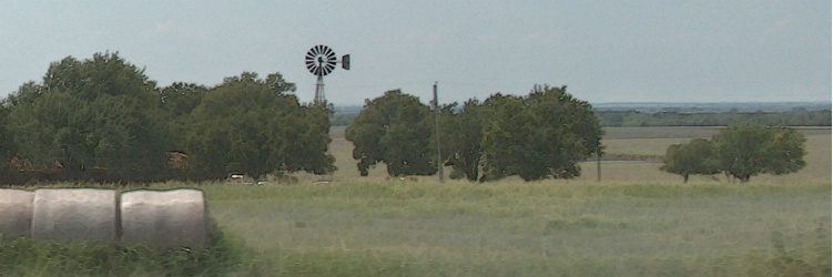 N. Texas Summer Prairie