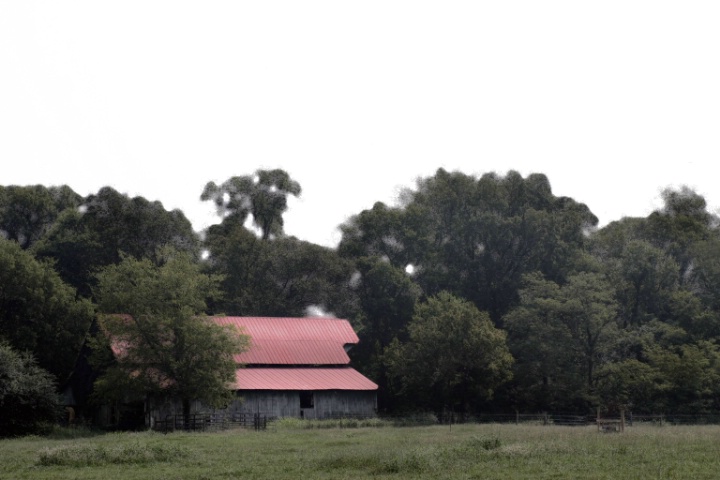 Red-roofed Barn