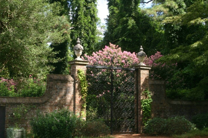 "Through the Garden Gate"