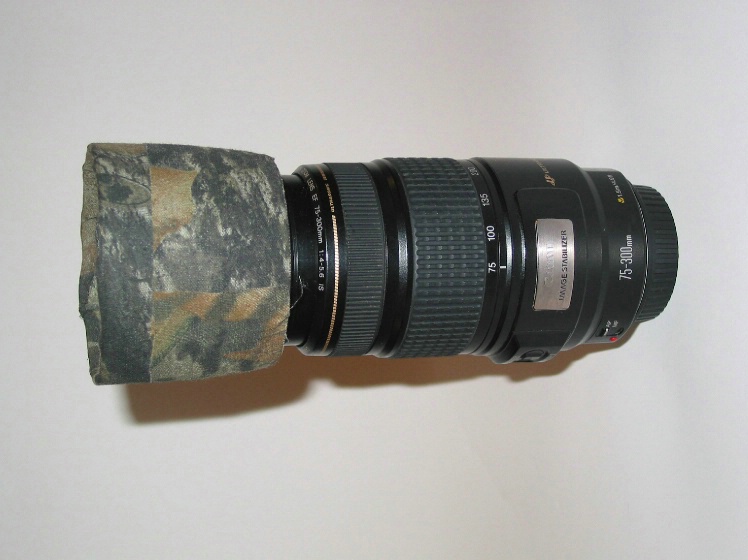 Canon EOS EF 75-300mm IS USM Lens with Hood