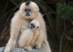 Zoo Babies:-)