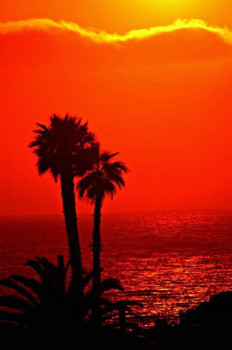 LA Hot Sunset - ID: 1222886 © Don Johnson