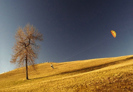 Flying the kite