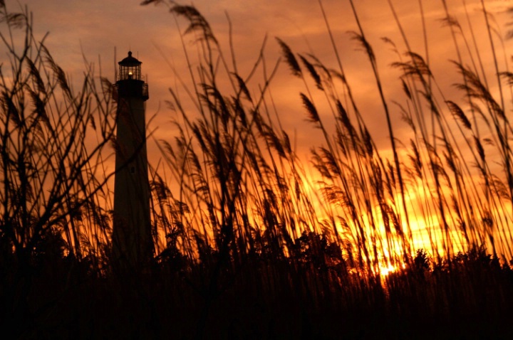 Cape May Light House - ID: 1229816 © Don Johnson