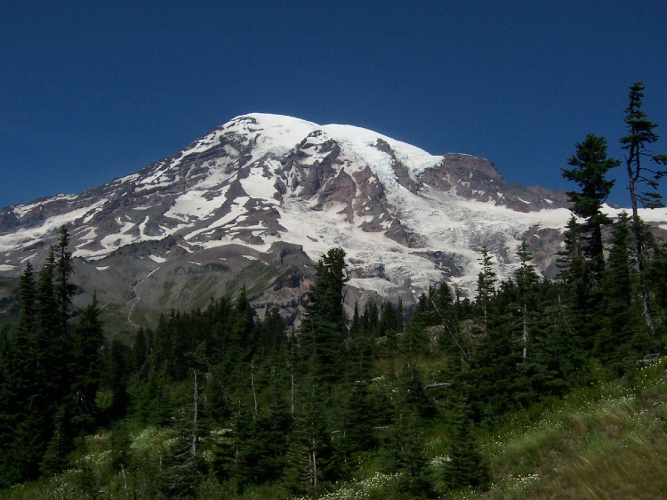 Summertime @ Mt. Rainier