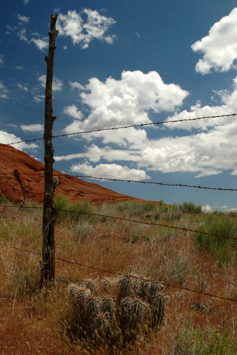 Red Rock Fence