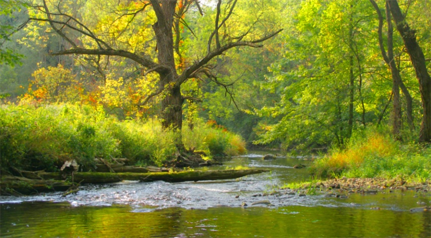 Silk Creek just before Sunset