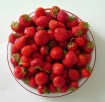 ~ fraises ~