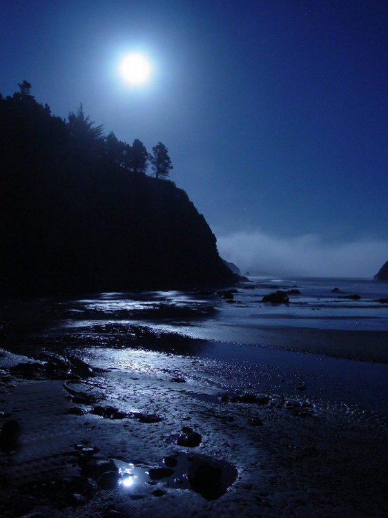 Anchor Bay By Moonlight