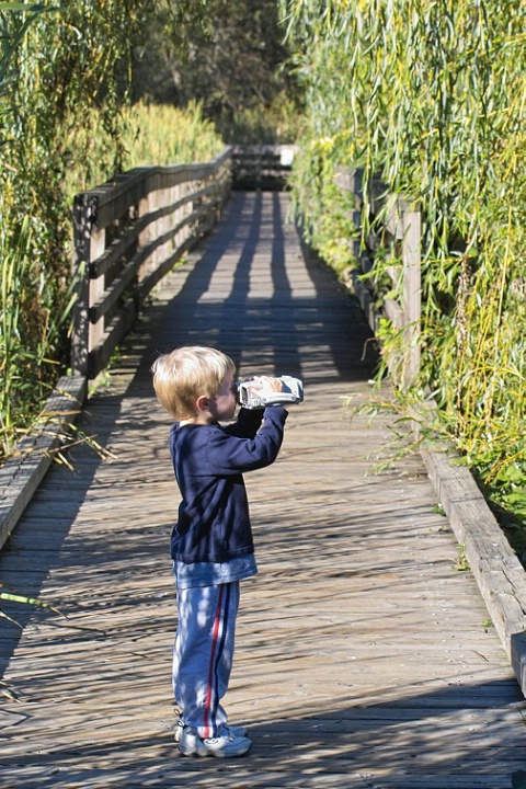 <strong>Photographer in Training</strong>