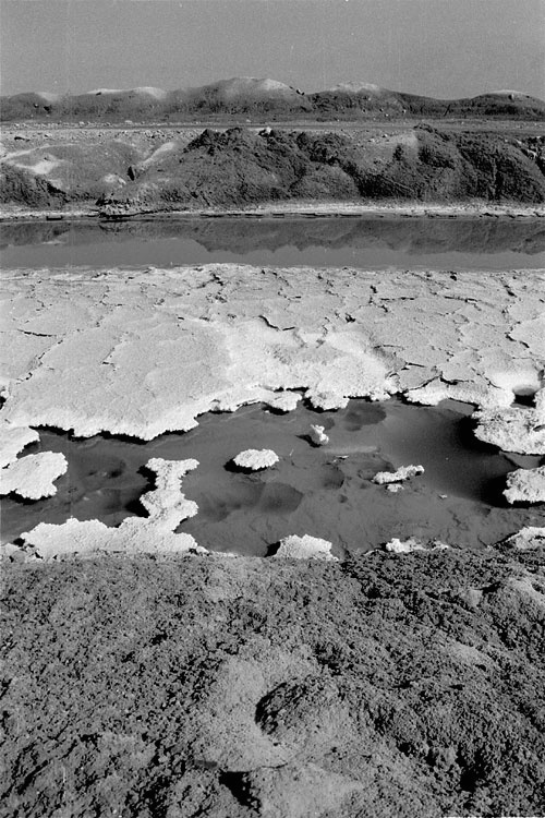 Salt Pond - The Dead Sea