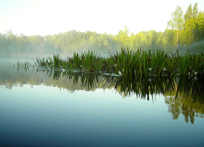 Ljadovka lake early morning