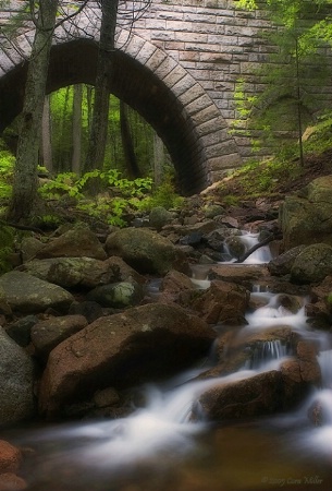 Once Upon A Time - Acadia NP