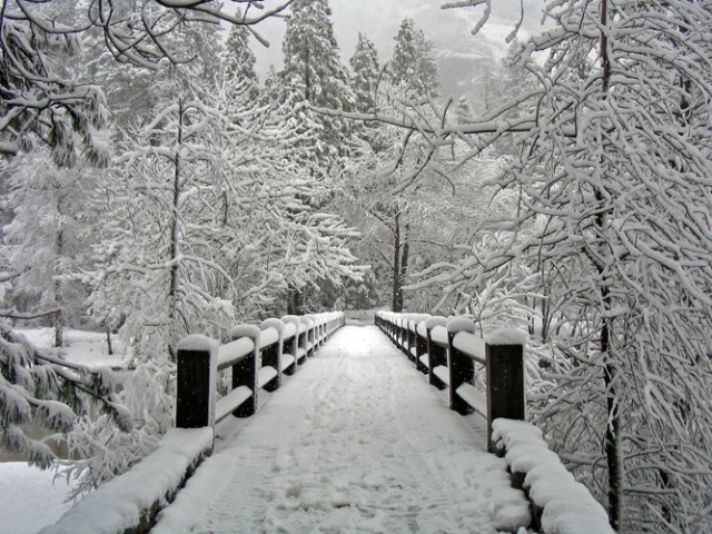 Bridge of Winter