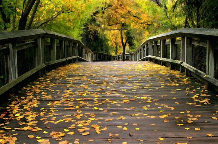 A Walk Through Autumn