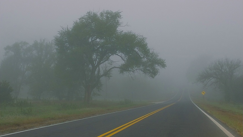 Into the Fog