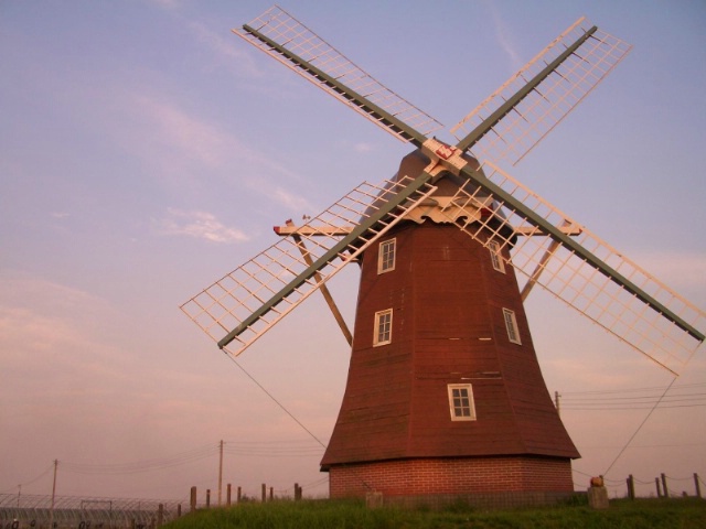 Dutch windmill at Japanese park