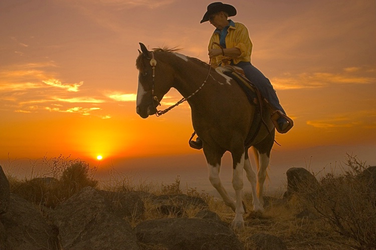 Original Southwest Equestrian Sunset