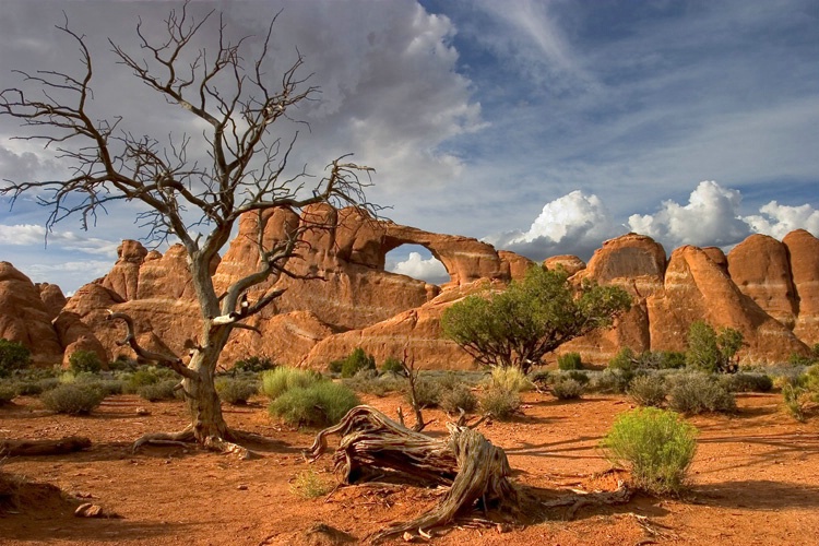 Arches National Park "Skyline Arch" 1st re