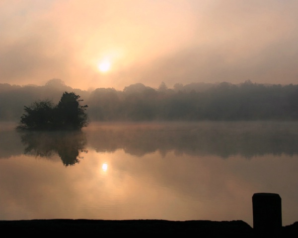 Sunrise and morning fog
