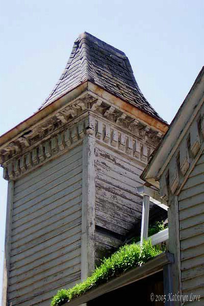 garden in a gutter