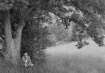 A Resting Place