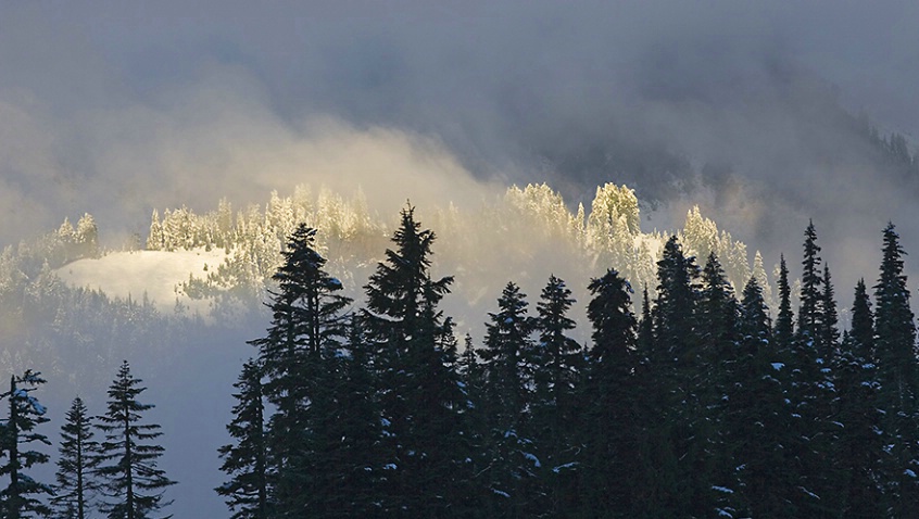 Light Breaking through Fog - Mount Rainier - ID: 1281535 © John Tubbs