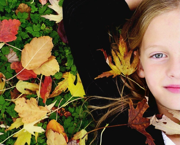 Autumn Beauties