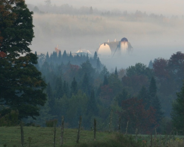 Misty Morning...