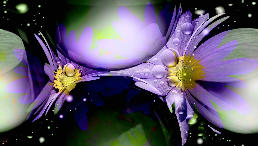 Flowers from outer space...