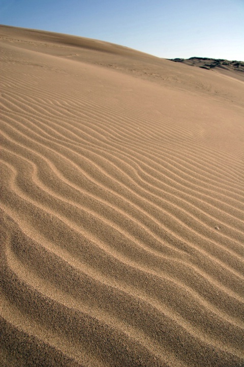 Sand Dune: Tottori, Japan