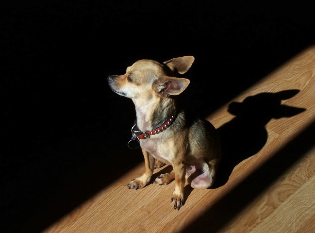 Sun Bath