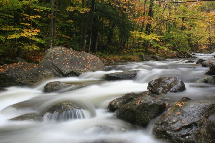 Autumm Stream...