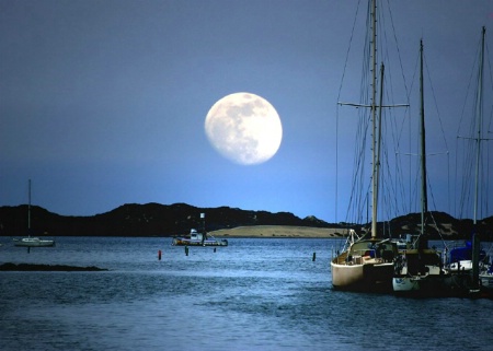 Moonlit Harbor 719